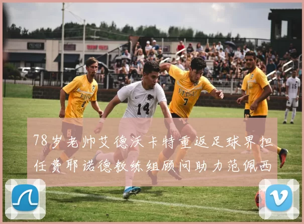 78岁老帅艾德沃卡特重返足球界担任费耶诺德教练组顾问助力范佩西