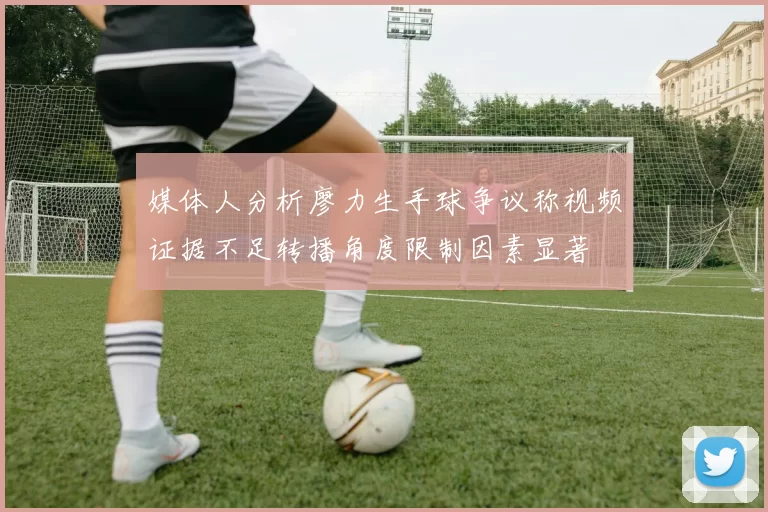 媒体人分析廖力生手球争议称视频证据不足转播角度限制因素显著